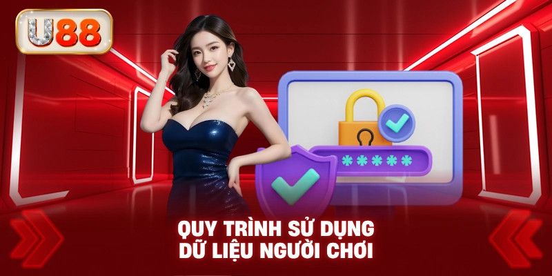 Quy Trình Sử Dụng Dữ Liệu Người Chơi